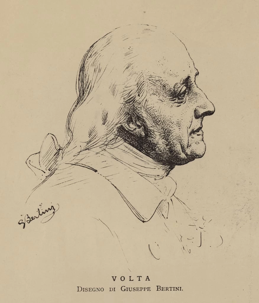 Ritratto di Volta
